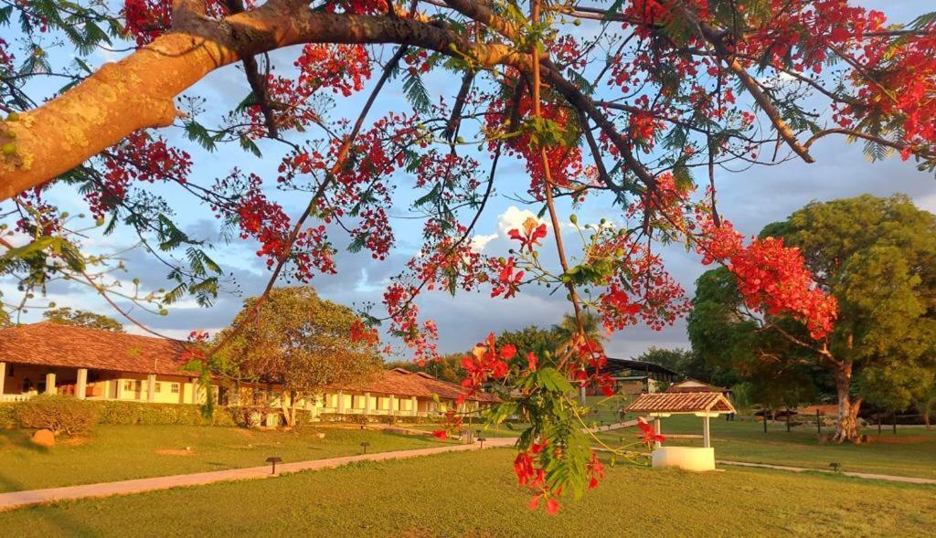 Sertao Veredas Hotel Fazenda Paraopeba Exteriör bild